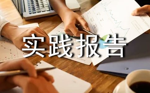暑假实践报告小结