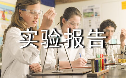 Word基本操作实验报告