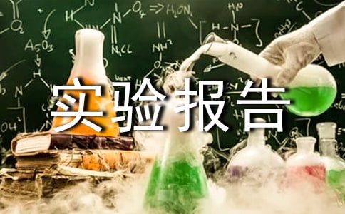 实验报告作文