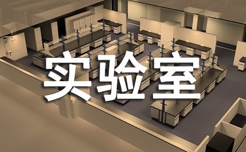 奇妙的实验室作文