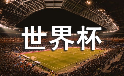 我和世界杯--亲爱的阿根廷_550字
