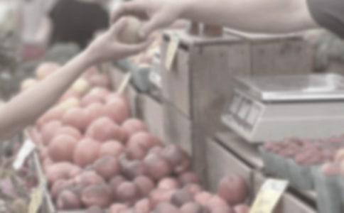 难忘的跳蚤市场作文【经典】