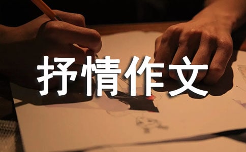 赞美抒情作文锦集八篇