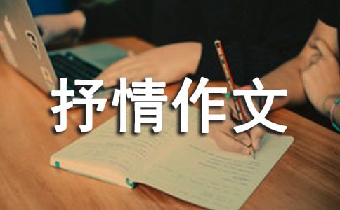 实用的初中抒情作文300字汇总9篇