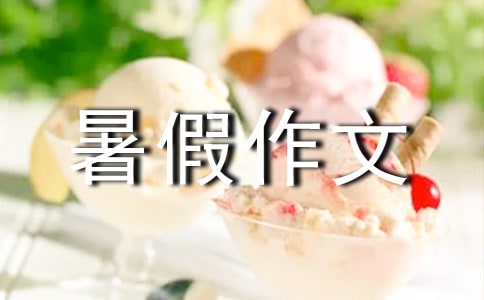 不一样的暑假作文（精选4篇）