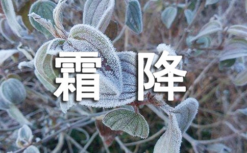 霜降唯美短句最新