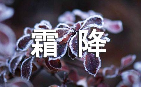 霜降养生注重御寒清热