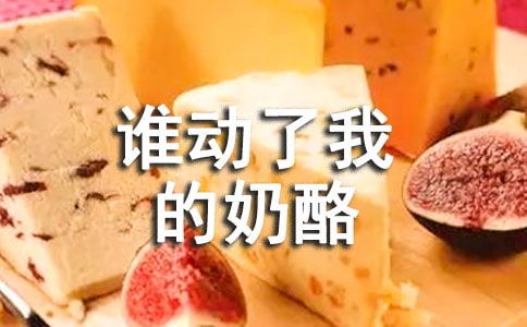 谁动了我的奶酪