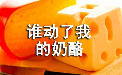 谁动了我的奶酪读后感集合15篇
