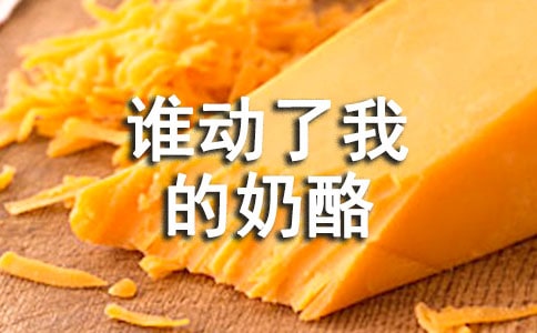 《谁动了我的奶酪》读书心得体会