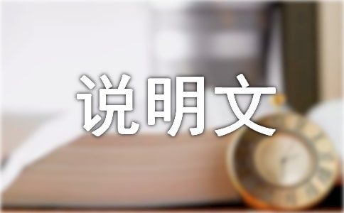 生命的意义说明文2篇