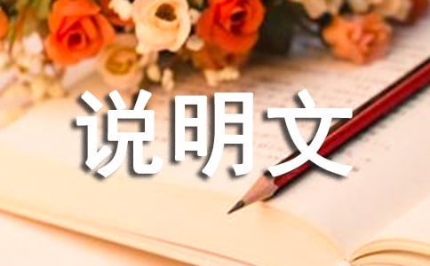 说明文作文400字（精选45篇）