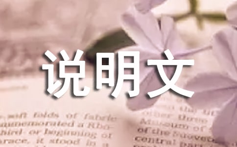 有趣的藏族-六年级-说明文