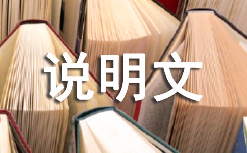 生活漫想优秀说明文作文