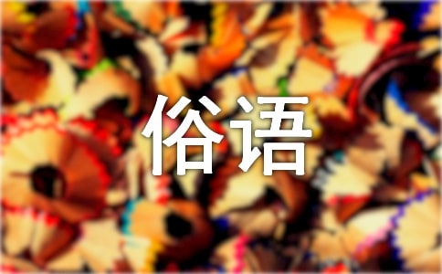 与马有关的`俗语