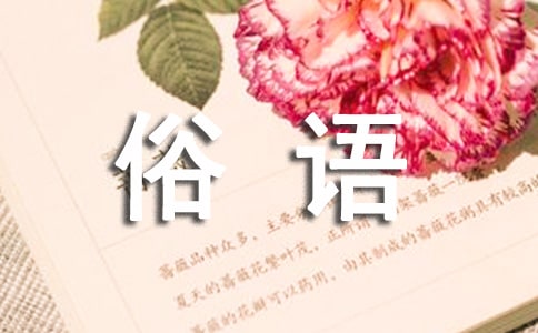 俗语集锦