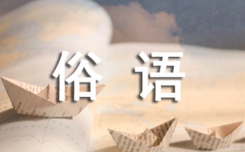 有关猪的俗语