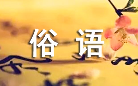 桥的谚语和俗语经典