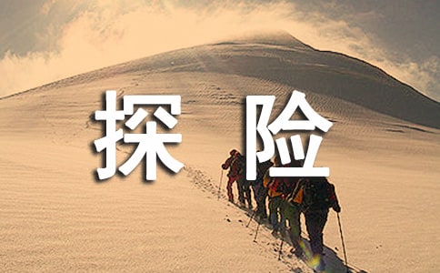 原始森林探险作文