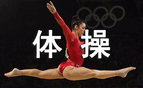 体操比赛六年级作文500字（通用41篇）