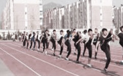 小学体育教学随笔13篇[精选]