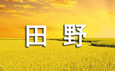 丰收的田野作文