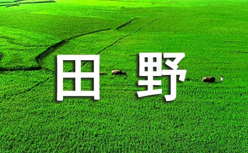 描写田野的作文