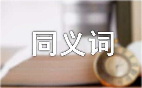 在同义词之间选择seo关键词的方法