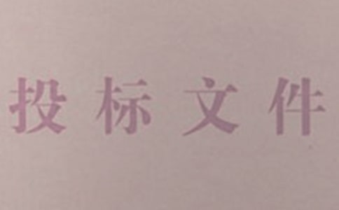 投标项目服务承诺书样本