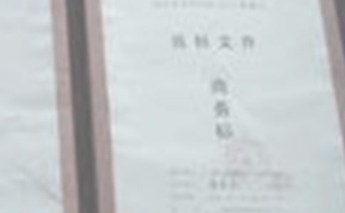 项目经理投标承诺书