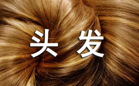 洗头发作文（精选26篇）