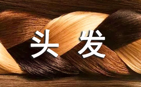 （优）剪头发作文15篇