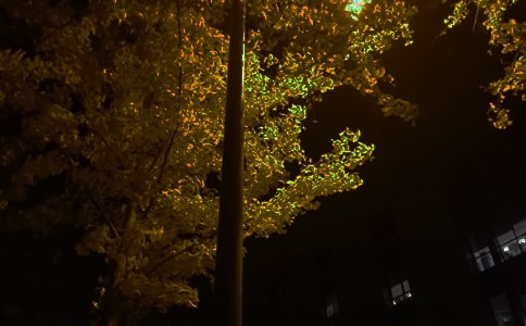 【精华】晚安暖心心语