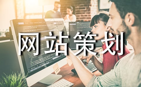 网站策划书两份