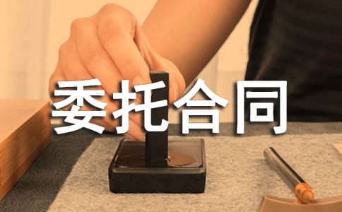 诉讼代理委托合同11篇