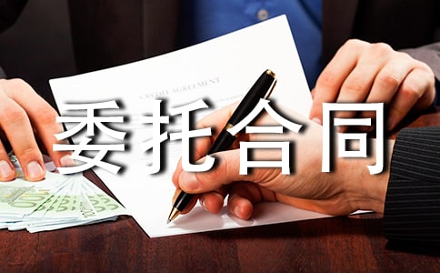 风险代理委托合同范本