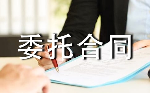 风险代理委托合同（通用10篇）
