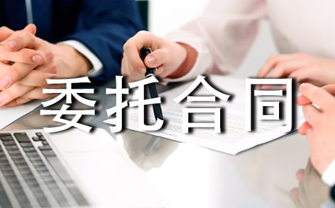 诉讼代理委托合同(集合11篇)