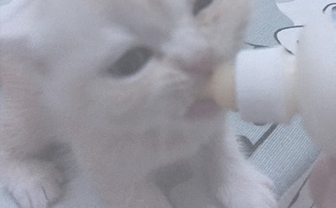 关于广州妈妈选择适合宝宝的喂奶方式