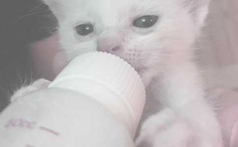 冬天给宝宝喂奶的注意事项