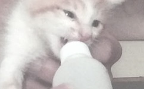 错误喂奶方式可伤害宝宝