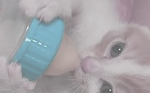 给孩子喂奶的注意事项有哪些
