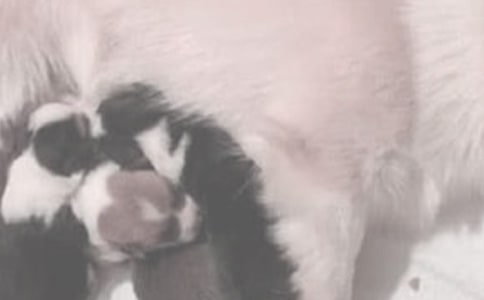 宝宝喂奶的禁忌