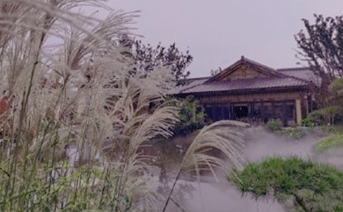 【必备】泡温泉作文
