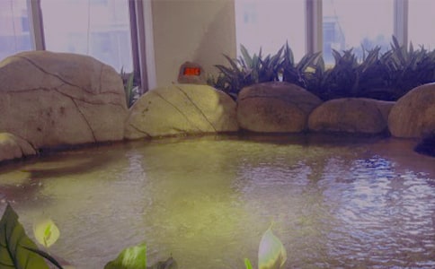 泡温泉作文(精选15篇)