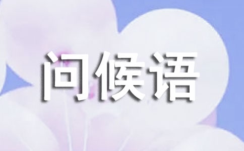 世界问候日问候语290句