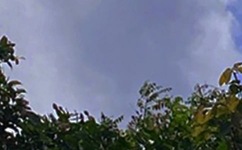 经典暖心午安心语90句精选