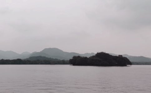 杭州西湖龙井茶有什么作用
