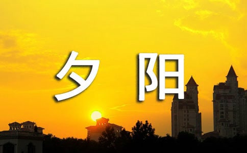 有关夕阳作文500字（精选27篇）