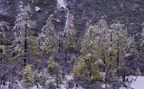 [经典]下雪了看图写话